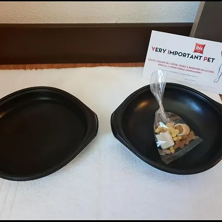 Hotel Ibis Centre 3*