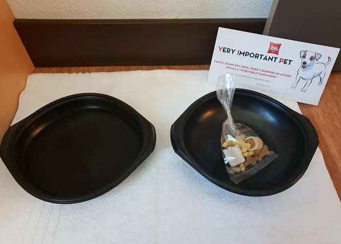 Hotel Ibis Centre 3*